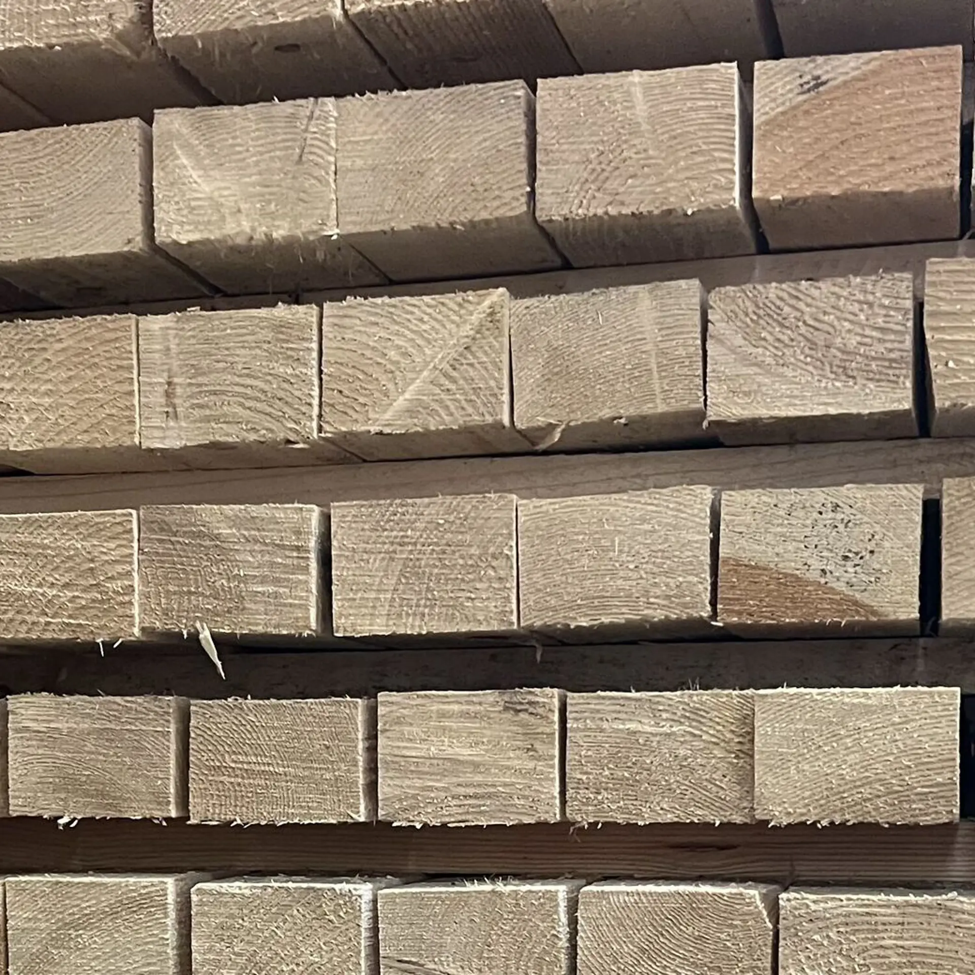 Pine Batten Rugged - 50 x 75 x 2400