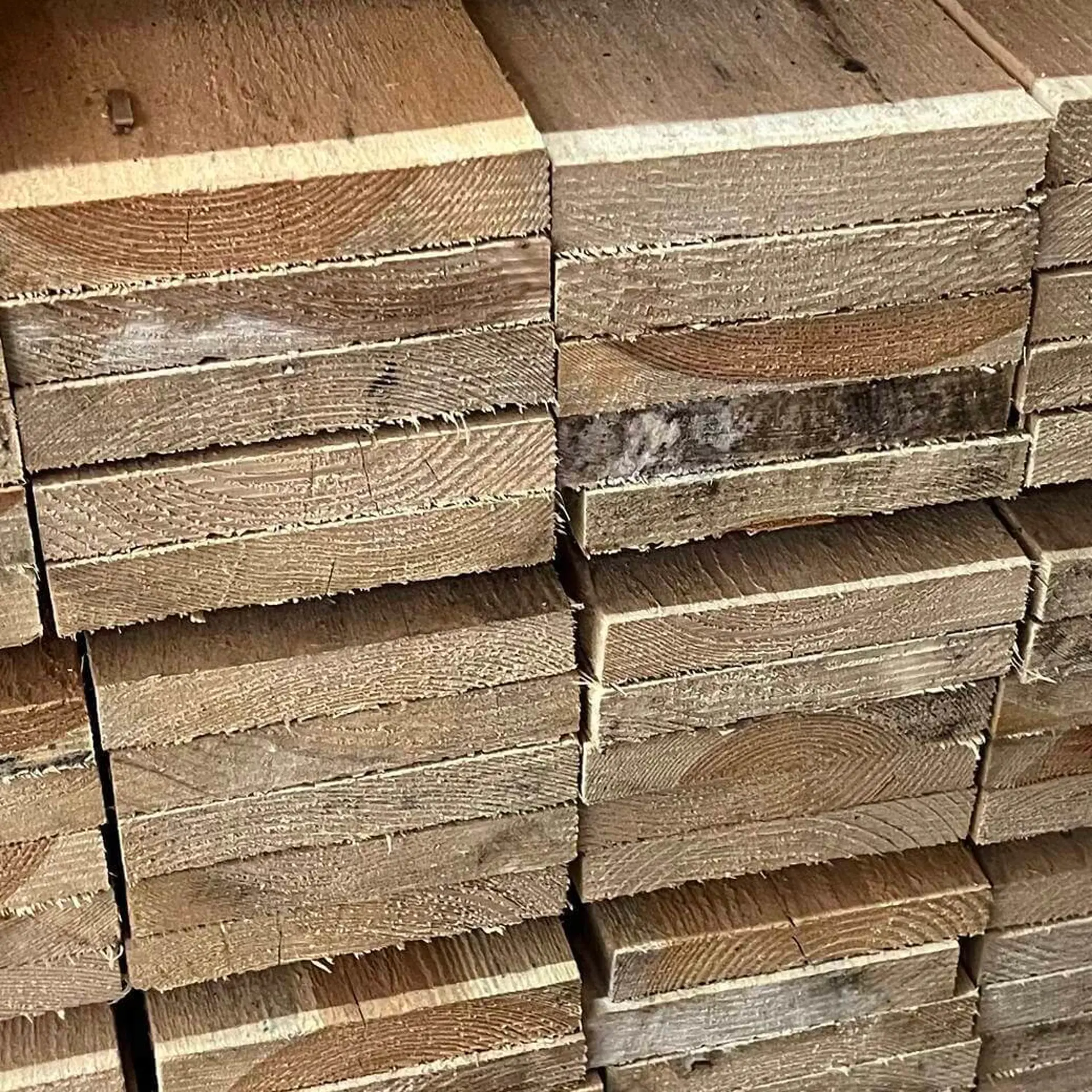 Pine Boards Rugged - 25 x 100 x 2400