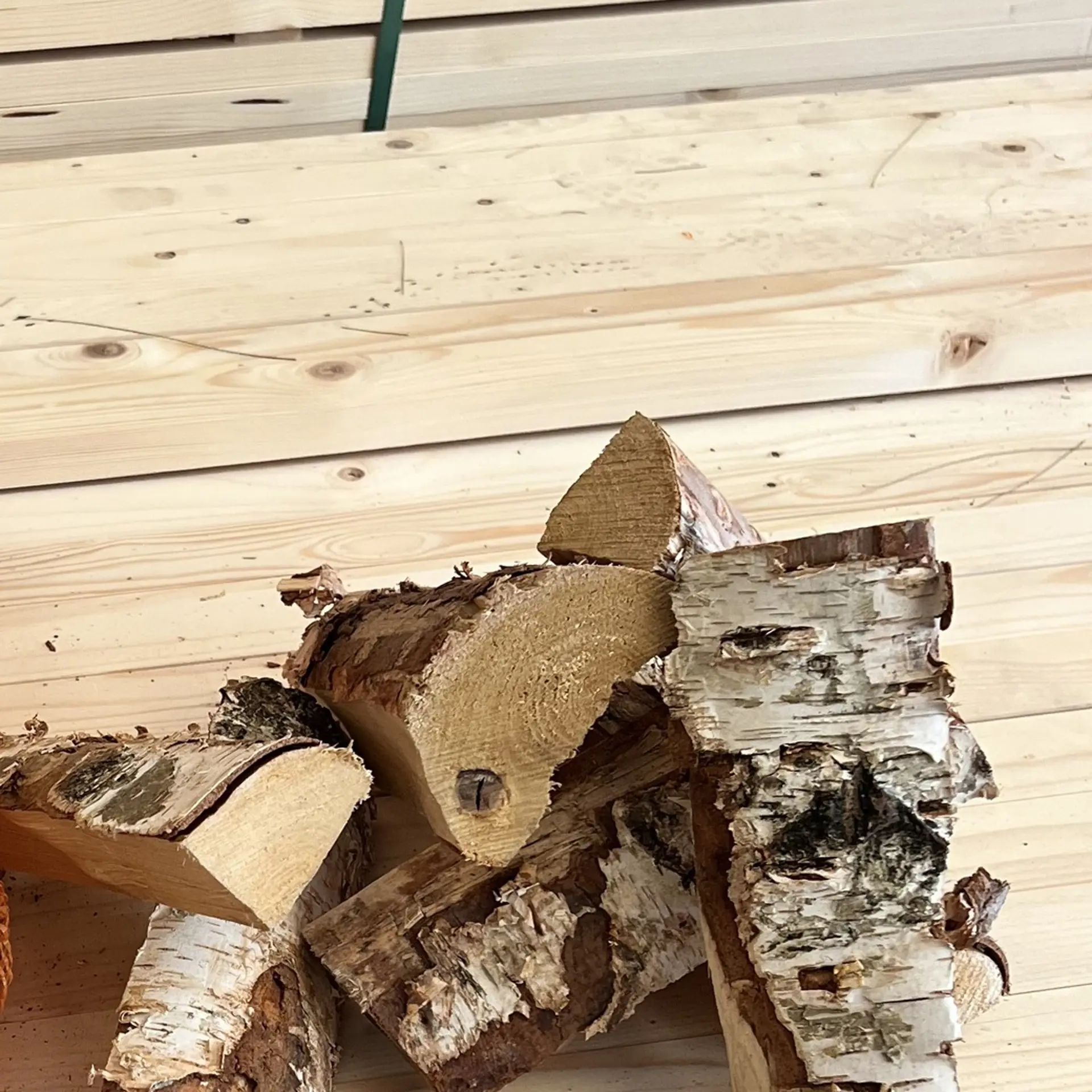 Dry firewood birch 25cm, 30l
