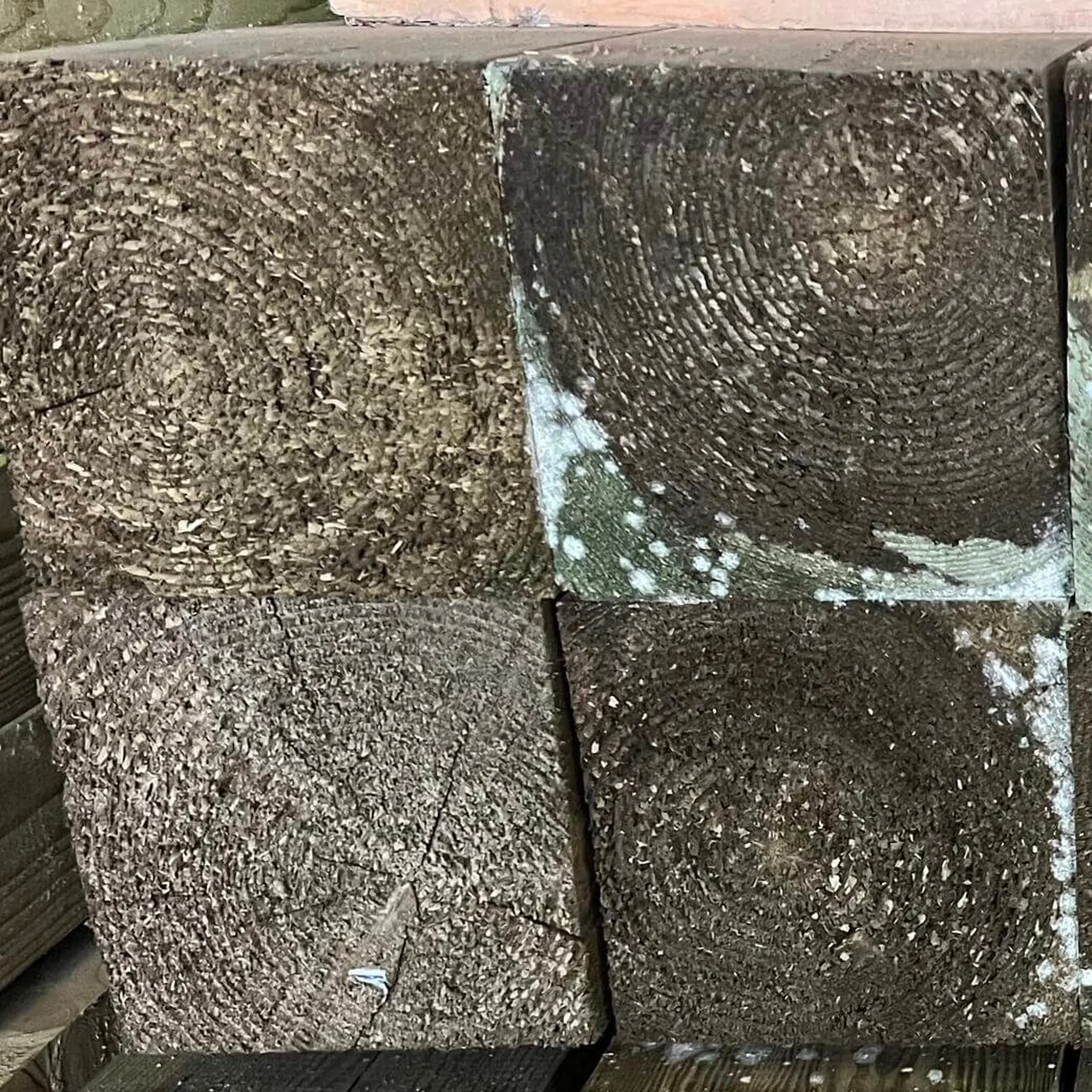 Pine Solid Beams Prepared - 140 x 140 x 6000