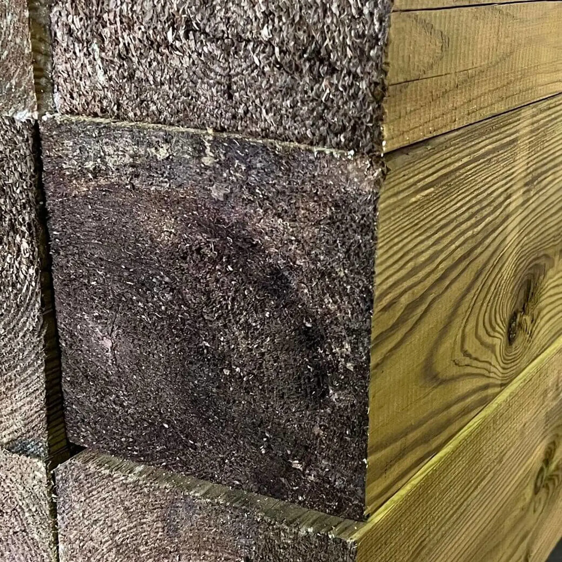 Pine Solid Beams Prepared - 140 x 140 x 6000